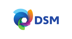 logo DSM
